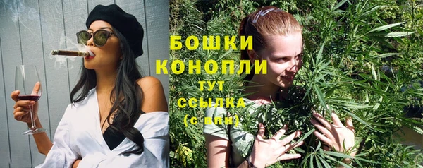 не бодяженный Ладушкин