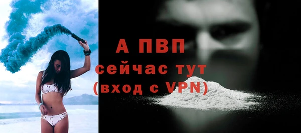 не бодяженный Ладушкин