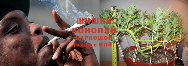 не бодяженный Ладушкин